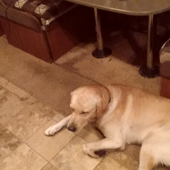 my heart - Picture 6 of 6